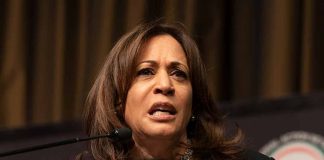 The Impact of Violent Threats on Kamala Harris's Presidential Campaign