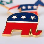 Republican elephant and Democratic donkey pins.