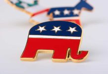 Republican elephant and Democratic donkey pins.