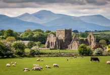 Ruins, sheep grazing, mountains and cloudy sky.