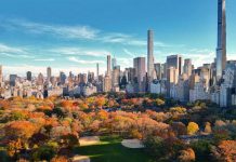 Autumn trees in Central Park with city skyline.