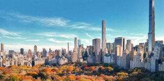 Autumn trees in Central Park with city skyline.