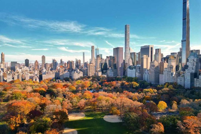 Autumn trees in Central Park with city skyline.