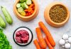 Vegetables, meat, dry kibble, and eggs arranged on surface.