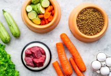 Vegetables, meat, dry kibble, and eggs arranged on surface.