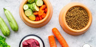 Vegetables, meat, dry kibble, and eggs arranged on surface.