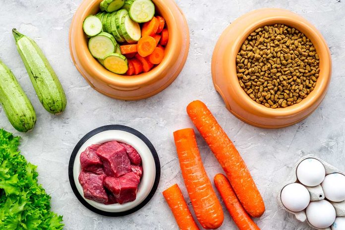 Vegetables, meat, dry kibble, and eggs arranged on surface.