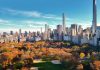 Autumn trees in Central Park with city skyline.