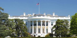 White House with American flag and green lawn