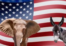 Elephant and donkey in front of American flag.