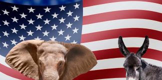 Elephant and donkey in front of American flag.