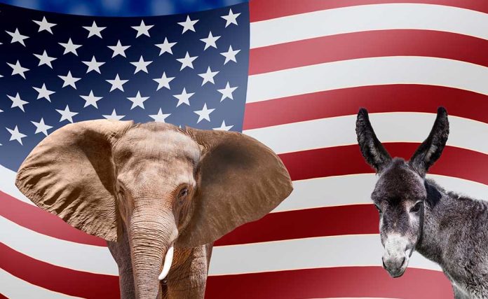 Elephant and donkey in front of American flag.