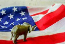 Elephant figurine on an American flag background