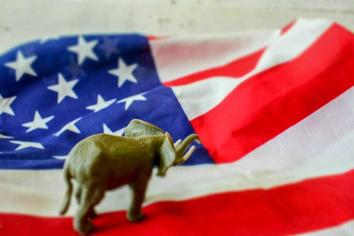 Elephant figurine on an American flag background