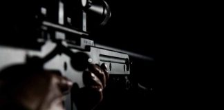 An assassin's gun
