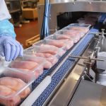 Packaged chicken breasts on a factory conveyor belt