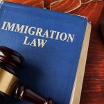 Blue immigration law book with wooden gavel