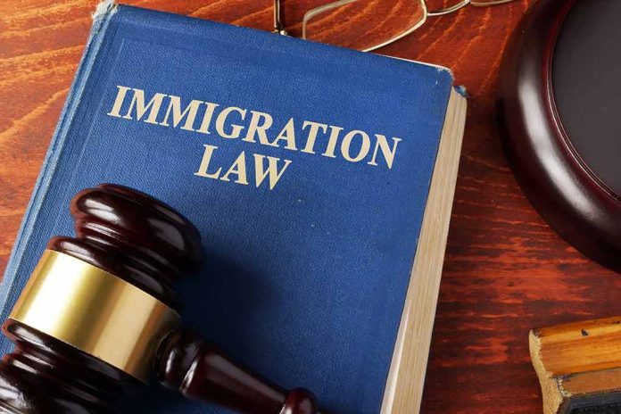 Blue immigration law book with wooden gavel