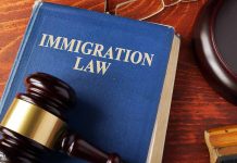 Blue immigration law book with wooden gavel