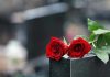 Two red roses on a gravestone.