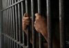 Hands gripping prison cell bars tightly