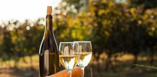 wine