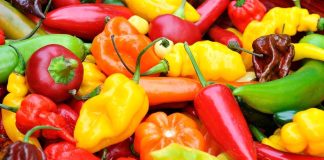 A variety of colorful peppers and chilies arranged together
