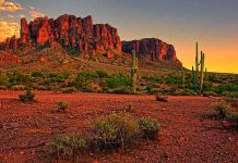 Desert landscape featuring mountains and cacti at sunset