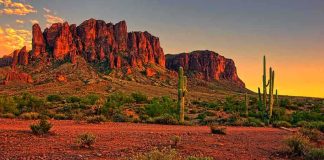 Desert landscape featuring mountains and cacti at sunset