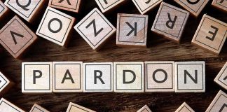 Trump FREES $1.6 Billion Fraud King – Days into Sentence Wooden letter blocks arranged to spell 'PARDON' on a wooden surface