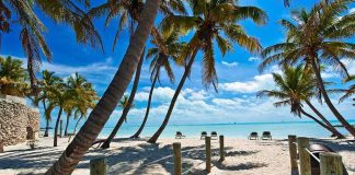 Tropical beach with palm trees and clear blue water