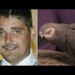Parrot Was Key 'Witness' in Murder Trial as Woman Is