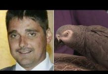 Parrot Was Key 'Witness' in Murder Trial as Woman Is