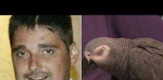 Parrot Was Key 'Witness' in Murder Trial as Woman Is