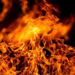 Staffer BURNS Herself Alive After Congressman AFFAIR Close-up of vibrant flames against a dark background