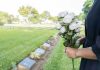 Person holding white roses at a cemetery.