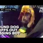 Florida K-9 Locates Missing Autistic Child in Wooded Area