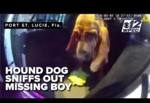 Florida K-9 Locates Missing Autistic Child in Wooded Area