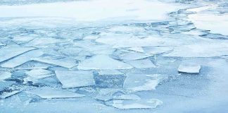 Population Crash: 20,000 Penguins VANISHED A frozen lake with cracked ice and blue hues