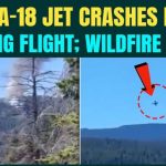 U.S F/A-18 Hornet Crash BREAKING: Trump’s Jet Went Down in Washington During Training Mission