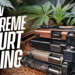 Supreme Court Just Changed Gun Rights for Marijuana Users