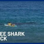 Shark Attack At Coogee Beach Leaves Swimmer Fighting For Life | 10 News