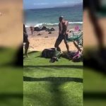 Dem Candidate ARRESTED – Shocking Beach Brawl Congressional candidate arrested after Maui beach altercation, bail set at $1 million