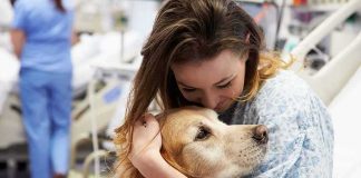 Killer Dog Disease Returns – Owners WARNED! Patient in hospital gown hugging a golden retriever
