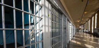 Row of empty prison cells with metal bars
